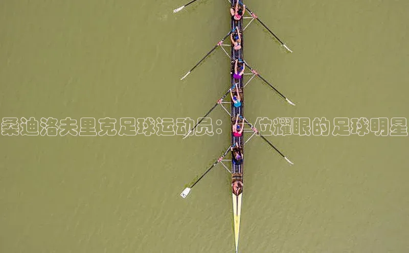 悟空体育直播app官方下载安装百度数据开放平台桑迪洛夫里克足球运动员：一位耀眼的足球明星