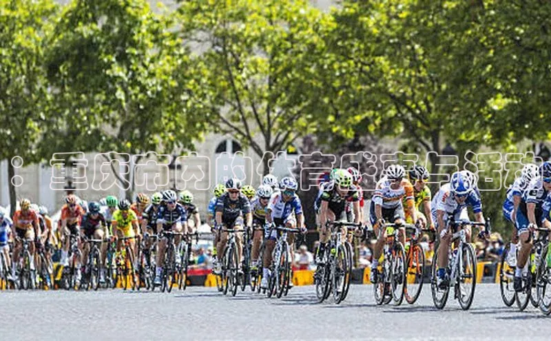 悟空体育平台登录入口百度搜索资源平台：重庆市内的体育盛事与活动