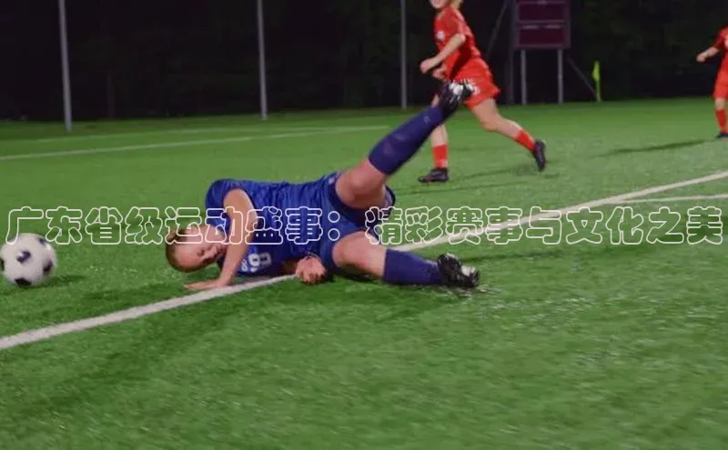 广东省级运动盛事：精彩赛事与文化之美