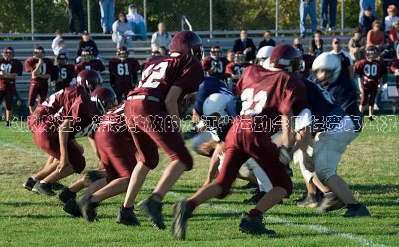 飞跃龙江：精彩绽放的龙江省运动会田径赛事盛况