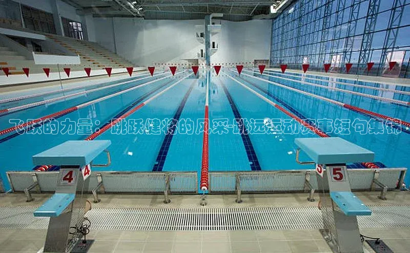 飞跃的力量：跳跃健将的风采-跳远运动赛事短句集锦