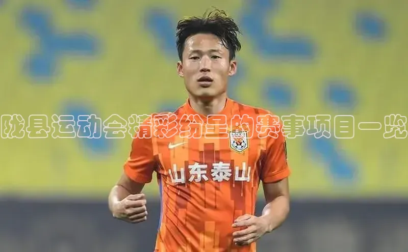 陇县运动会精彩纷呈的赛事项目一览