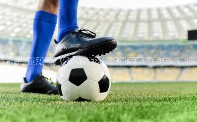 云端下的激情碰撞：山东冰雪运动赛事的魅力与未来