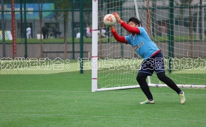 苏州运动会：运动与文化交融的魅力