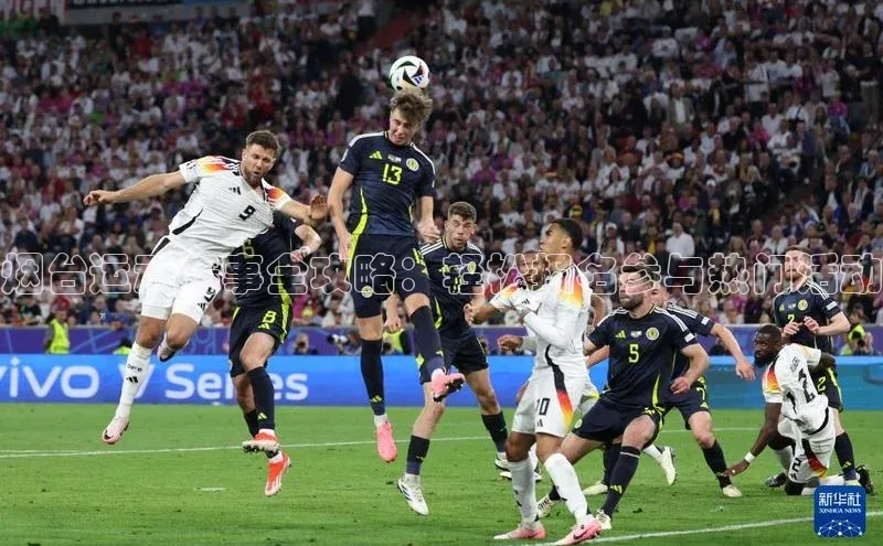 烟台运动赛事全攻略：轻松报名参与热门活动