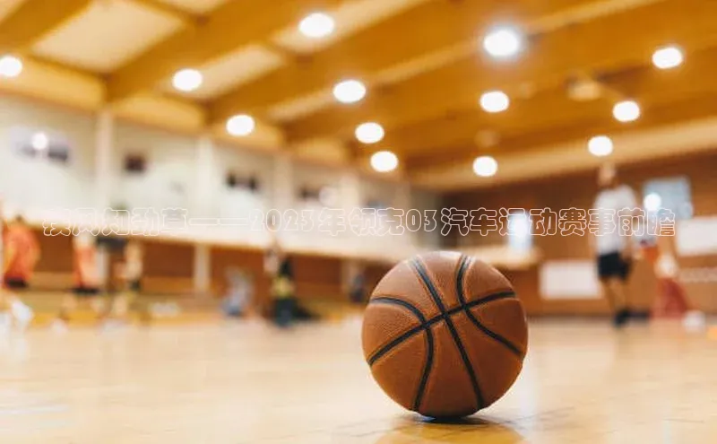 疾风知劲草——2023年领克03汽车运动赛事前瞻