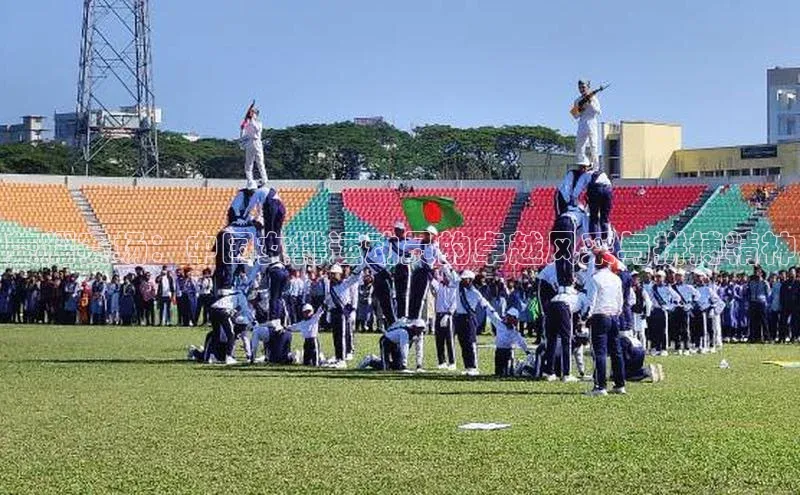 荣耀赛场：中国女排运动员的卓越风采与拼搏精神