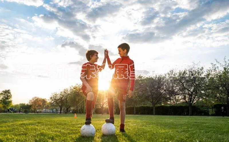 辽宁新闻未来展望：2025年