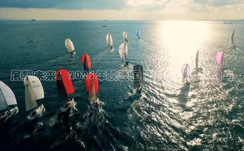 展望未来：2025年陕西国际航空发展前瞻与