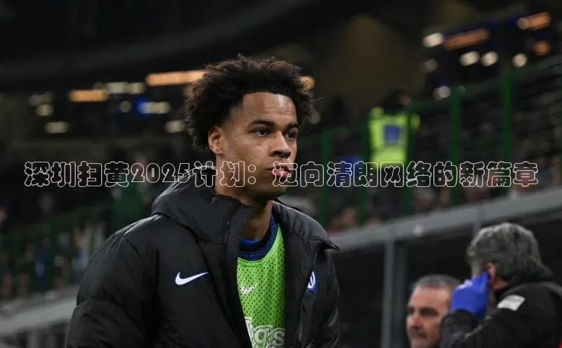 深圳扫黄2025计划：迈向清朗网络的新篇章