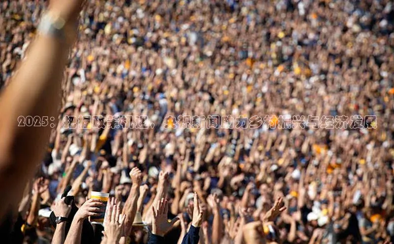 2025：把握政策机遇，央视新闻助力乡村振兴与经济发展