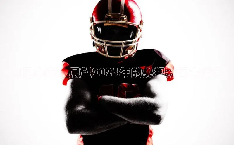 预见未来：展望2025年的央视新闻表情包